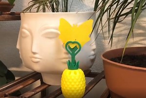 Watch Outdoor odorless and non-toxic fly trap on Amazon Live