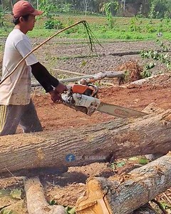 121K views · 1.7K reactions | wood splitting skills using a chainsaw | Fujian Utami | Facebook