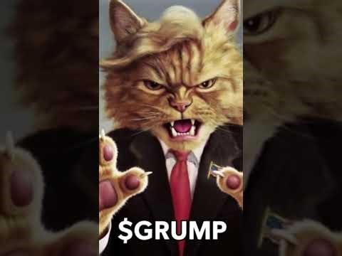 Buy $GRUMP. Link in first comment