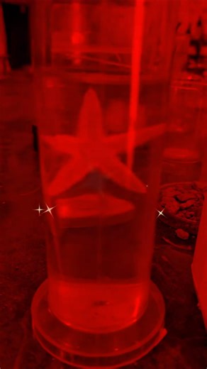 Class 12 Biology | Soil pH Test LIVE in Lab 🔬🌱