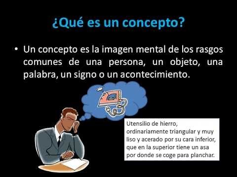 El concepto y sus características.