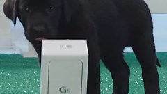 This Verizon LG G5 unboxing video is probably the cutest you've seen in a while