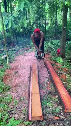 #sawmill #lumberjack #sawyer