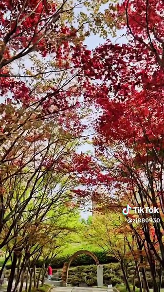 上热门话题9000亿流量排行榜解析