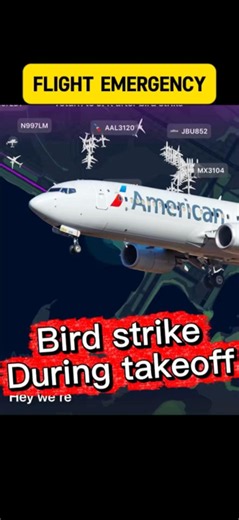 This bird strike almost ended the flight #shorts #aviation