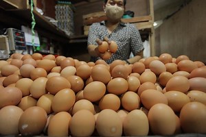 Cara Membuat Telur Asin dari Telur Ayam dengan Mudah - Nasional Katadata.co.id
