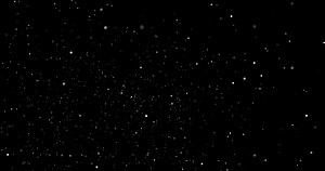 Floating dust particles rising up. Seamless loop animation on transparent background with alpha channel