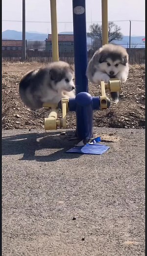 TikTokでqiongyao1さんをチェック！