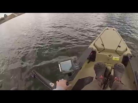 Hobie Pro Angler Downrigger Cannon Mini Troll Kayak fishing