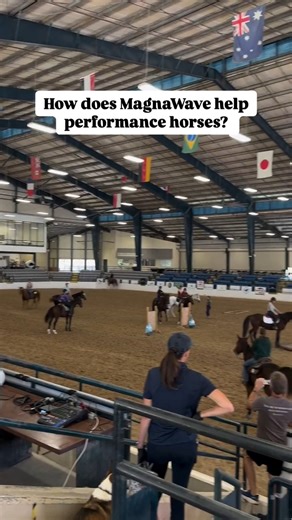 How does MagnaWave help performance horses? 🤔 MagnaWave’s gentle pulsing of electromagnetic fields (PEMF) improves cellular function and stimulates the body’s natural recovery processes. This process reduces inflammation and increases circulation to sore muscles and damaged cell tissue 🧬 #MagnaWave #PEMF #MagnaWaveLove #horses #equestrian #horsebackriding #eventing #dressage #equinemassage #hoofcare #equinehealth #horsecare #horselovers #equinefitness #horselife | MagnaWave Corporate - Wellnes