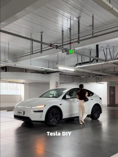 Tesla DIY Mods: Installing an Engine in a Tesla Explained