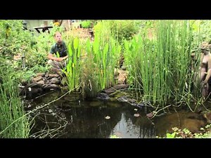 How to Know If You Need Plastic Liner for Your Ponds