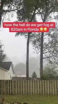 How does Florida get dense fog at 820am😳