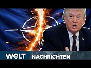 IRAN-KRIEG: „Papiertiger!“ – Sprengt Trump die NATO? Rede mit Spannung erwartet! | WELT STREAM