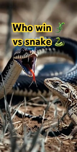 Snake vs Lizard Fight – Brutal Battle Ends in Seconds! 🐍🦎 #gopro #wildlife #fight