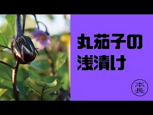 家庭で簡単にできる漬物教室 なすの浅漬け