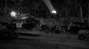 Revenge of the Creature (1955)