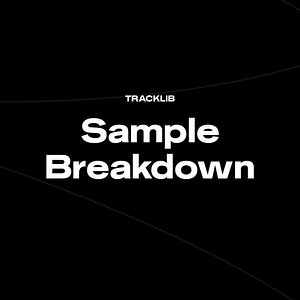How fast can you guess the song from its samples? ⏱️ Never miss a #samplebreakdown - subscribe to our Youtube: http://bit.ly/subscribetracklib | Tracklib