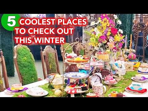 5 Must Visit Spots to Enjoy Winter in Toronto! (many you don’t know about) #winterintoronto