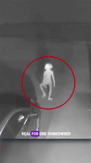 A Real Alien Cot on CCTV #AlienEncounter #CCTVFootage #Unexplained #ParanormalActivity #Mystery