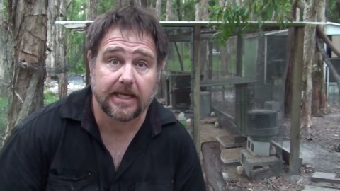 How to Collect Quail Eggs & Other Tips