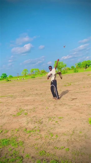 How to train a falcon for falconry #falconry #wildlife #birds #nature #falcon