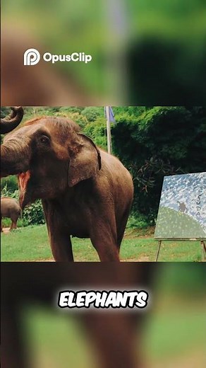 Elephant Artist Suda's Incredible Paintings You Won't Believe