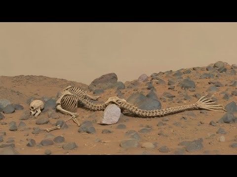 NASA’s Perseverance Rover on Mars || Fresh Images & Latest Red Planet Footage