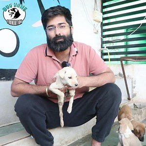 38K views · 10K reactions | Rescue, Rehabilitate, Repeat!  The Dog Home Foundation tirelessly cares for injured and sick stray dogs, providing them with the love and care they deserve. Your immediate help is crucial to continue our services and build a permanent shelter for these innocent lives. Donate Now: https://bit.ly/dog-jaw Click to donate and be a hero for those who can't speak for themselves.  #rescuedog #doglovers #DonateForDogs | Dog Home Foundation | Facebook