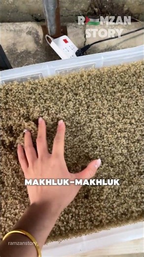 Why Chinese Farmers Are Buying Millions of These Creatures❓️