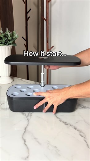 Rediscovering the Joy of Gardening: Tips and Ideas