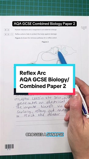 #sciencetutor #biologytutor #sciencerevision #examtechnique #gcsebiologyrevision
