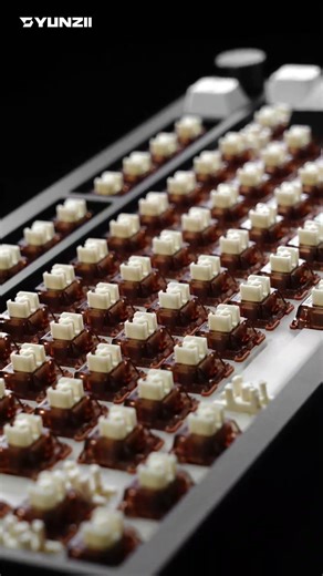 [SHOWCASE] WORTH EVERY BIT OF RESEARCH! ✨