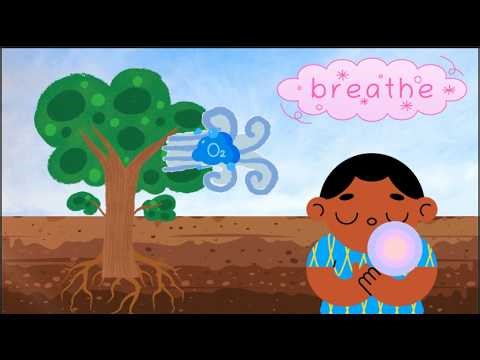 Earth Day Poem for Kids 🌎 Life Cycle of a Tree (Seed to Tree Song/Poem) | Early Language |