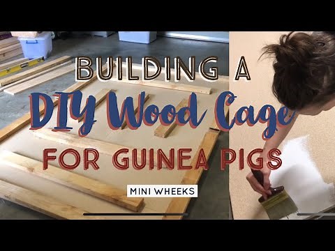 Building a DIY Wood Cage for Guinea Pigs - Pet Room Upgrade: Part 3