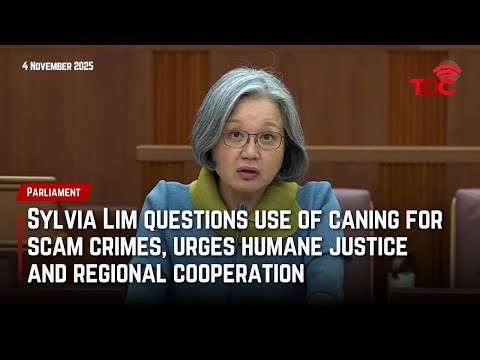 Sylvia Lim questions use of caning for scam crimes, urges humane justice and regional cooperation