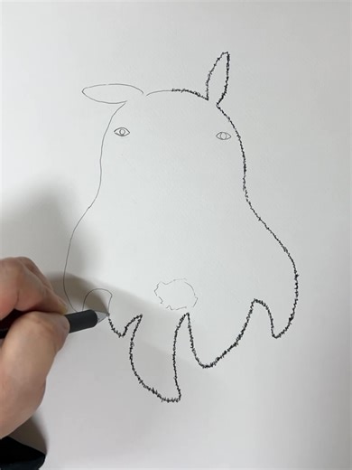 Captivating Line Art of a Flapjack Octopus