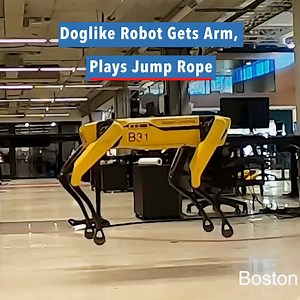 39K views · 502 reactions | The company that has become a viral...