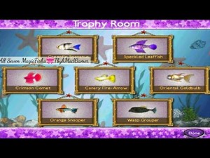 fish tycoon all magic fish 🎀 - full version for 👇 free -how breed all magic fish - full tutorial