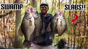 Secret Swamp Locations for Deep Slab Crappie Fishing