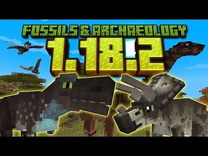 Fossils & Archaeology | 60+ Dinosaur Showcase!