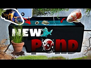 Turning old refrigerator (Fridge Box) into beautiful monster fish pond 🐠 | diy outdoor fish pond