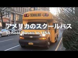 School Buses in USA #01 -【子供が泣き止む確率7割】アメリカのスクールバス#01。