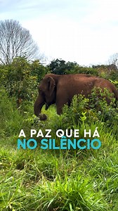 240K views · 10K reactions | Existe um poder no silêncio do...