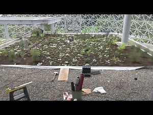 Intensive Green Roof Installation