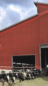 3K views · 82 reactions | Old barns are cute, but new ones function better! | Donia Farms | Facebook