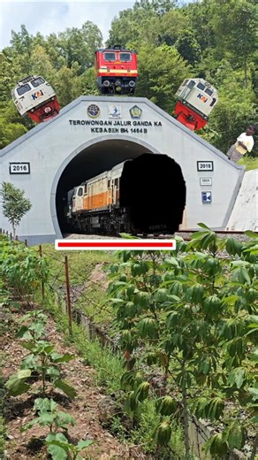 Spot the Real Train FrontWatch Closely as It Leaves the Tunnel 🚆 #shorts