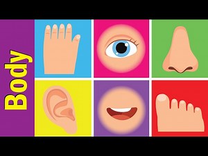 My Body Vocabulary Chant for Kindergarten Kids | Fun Kids English - Videos For Kids