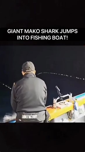 4.9K views · 25 reactions | VIRAL VIDEO ALERT — MAKO SHARK JUMPS...