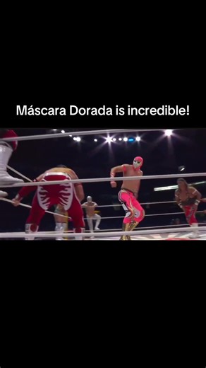 he’s so cool never leave cmll please #cmll #luchalibre #mascaradorada